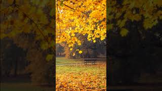 Relaxation music by peder B.Helland ,Vol. 1| Sleeping music | calm music