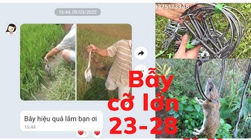 3 kích thước khác nhau của bẫy bán Nguyệt bẫy cò,bẫy diệc,bẫy chuột ,bẫy chim.☎️0862655889