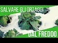 SALVARE GLI ORTAGGI DAL FREDDO | TUNNEL FAI DA TE | ORTO E GIARDINAGGIO