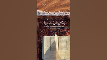 تلاوة خاشعة للشيخ عبد الله الموسى 🎧❤️‍🩹 #طمئن_قلبك #أرح_سمعك_وقلبك #اكسبلور #راحة_نفسية
