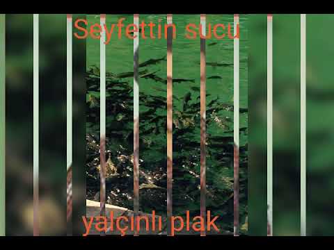 SEYFETTİN SUCU (nere gidem gönül senin elinden)(kırmızı gül goncası)