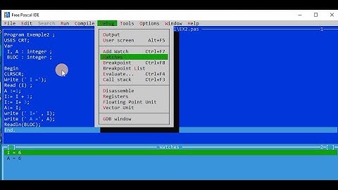 Exemple2 - Mon premier programme Pascal : Exécution par PAS d