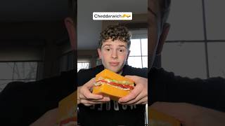 Eating A Sandwich Made Of 1Lb Of Cheese