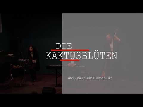 Video: Kaktusblüten - was ist das?