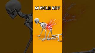 What If You Slept 20 Hours a Day? #barebones  #biology  #health #3d #sleep