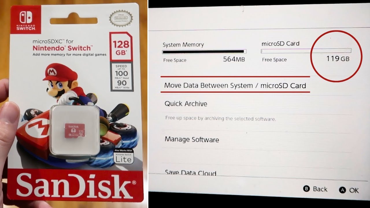 SanDisk 128GB 100MB/s microSDXC Memory Card for Nintendo Switch Unboxing 