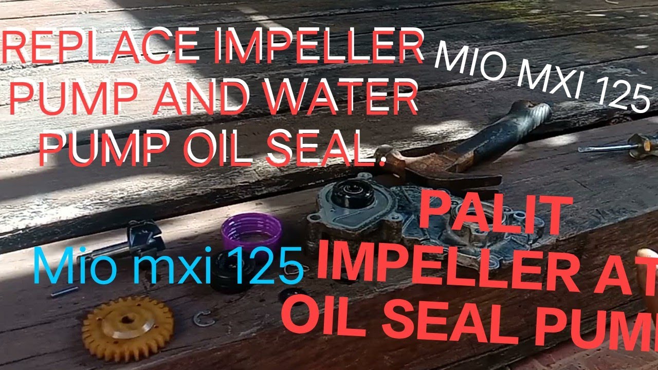 Mxi 125 palit water pump at oil seal pump.