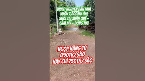 Video Nguyên Bản Của Nhà Vườn 7.200mv Ôm Suối Lớn #batdongsan #sanbaylongthanh #bdsnghiduong