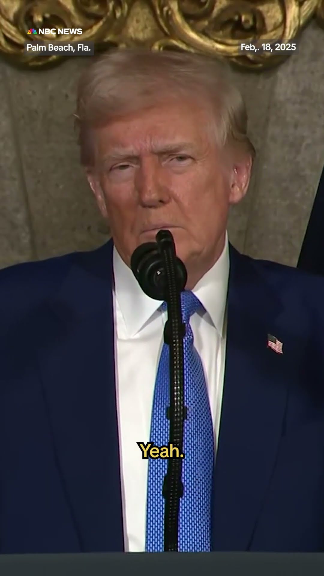 Trump questioned on Elon's role in DOGE