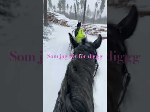 Bästa violina och Lollo Bell i dag så himla duktiga❤️