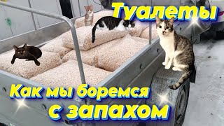 Туалеты. Как боремся с запахом.