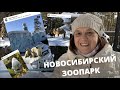 Vlog in Russian 27 – Новосибирский зоопарк с бабушкой (rus sub)