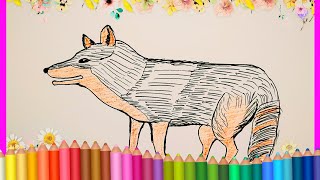 how to draw a Wolf  ?   comment dessiner le loup  كيف أرسم ذئب؟