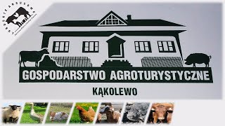 Lubuskie Angusowo - S3 E53 - Niesamowite Polskie Gospodarstwa - Agroturystyka Kąkolewo