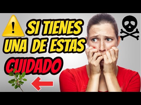 Vídeo: Exponga El Engaño. Puia Chilena: ¿una Planta Que Se Alimenta De Ovejas? - Vista Alternativa