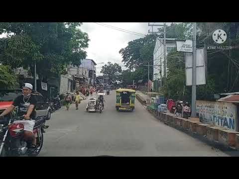 Video: Paano Taasan Ang Isang Bagong Silang