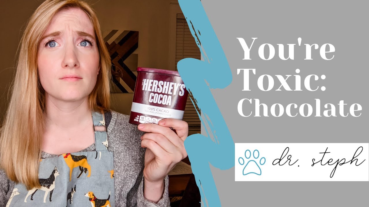 Episode 1: Chocolate Toxicity + Brookies