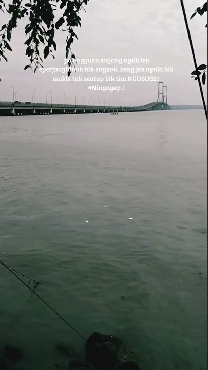 story wa ojo di bandengke,/ wong koyo ngene kok dibandeng bandengke