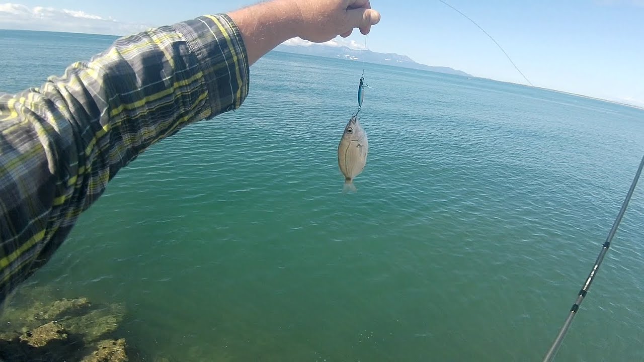 Кълве само на бял