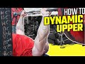 How to Structure a Dynamic Effort Upper Body Workout (Beginner &amp; Intermediate Guide)