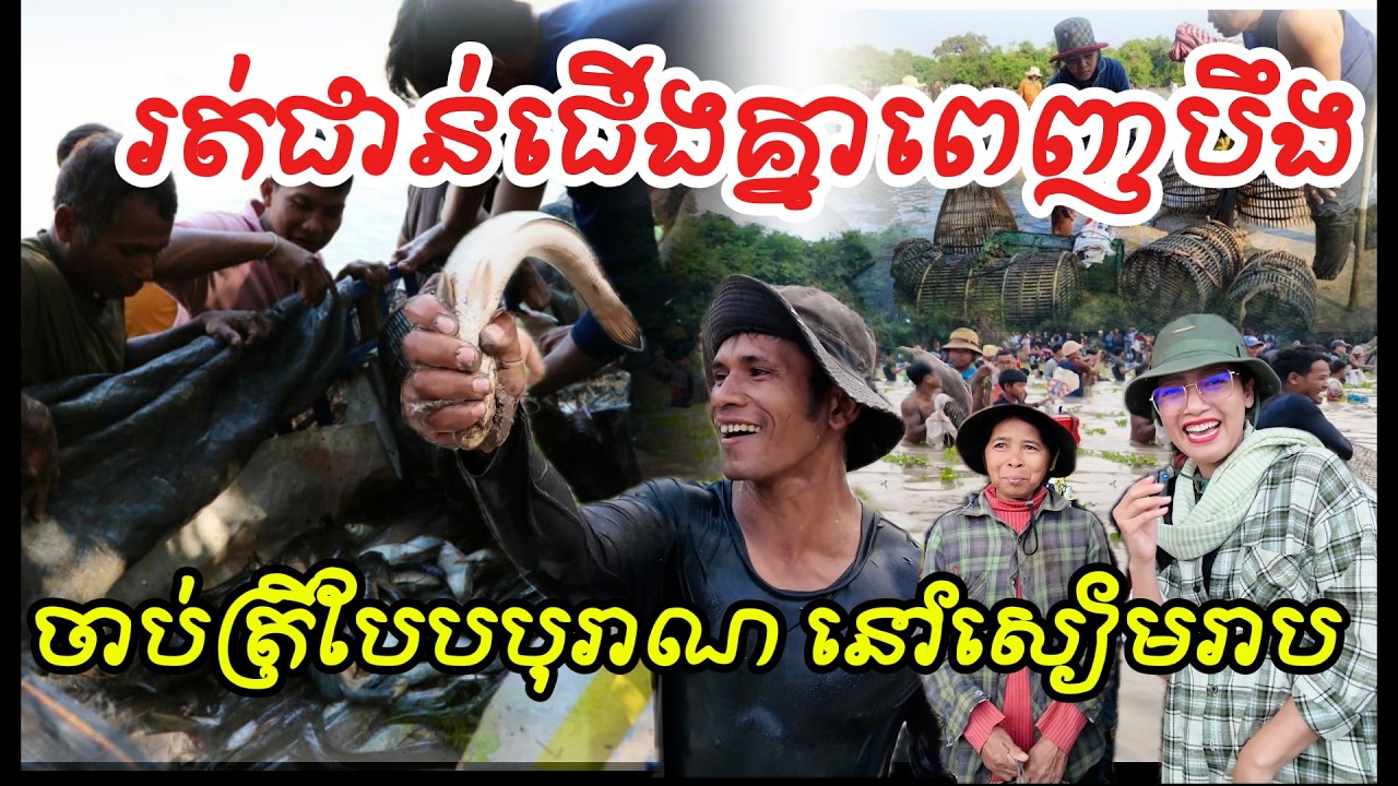 រត់ជាន់ជើងគ្នា ពិធីចាប់ត្រីបែបបុរាណ ស្រុកបាគង ខេត្តសៀមរាបThere were so many people catch fish