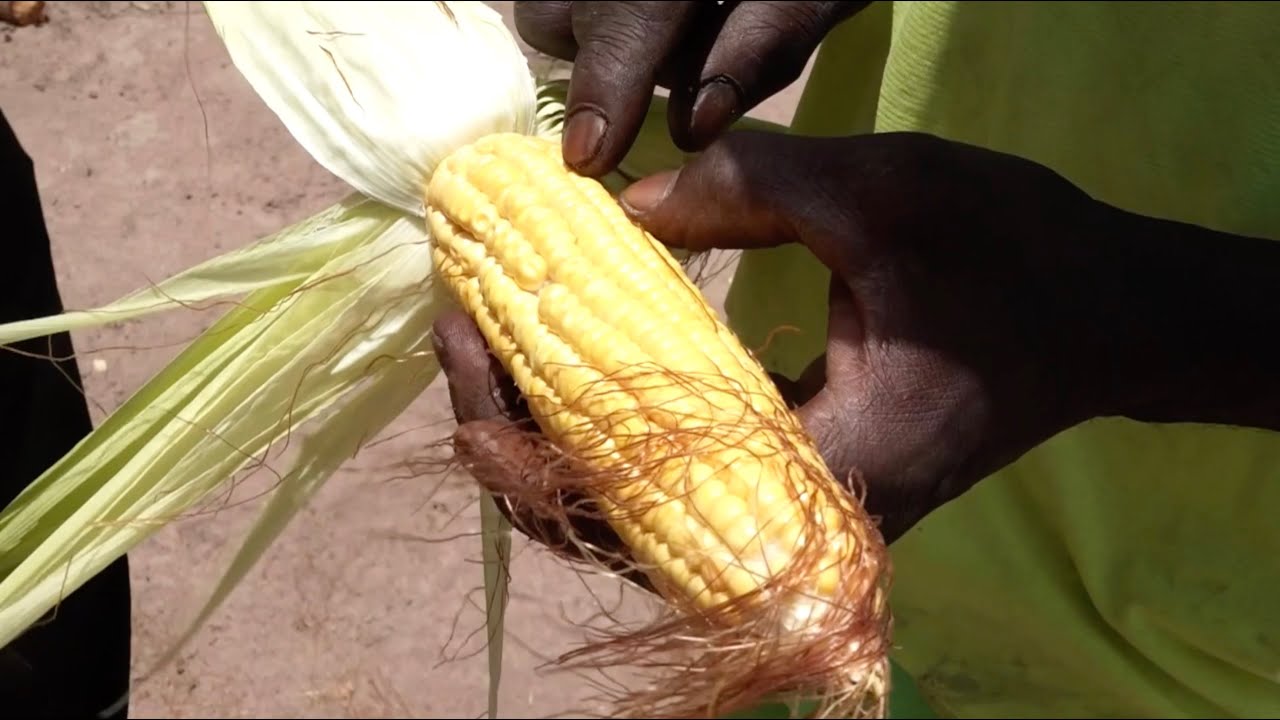 EFR : les fruits répondent à la promesse des fleurs