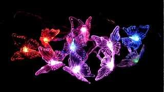 butterfly lights led string changing demo