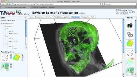 EnVIsion Scientific Visualization Through Web Browser