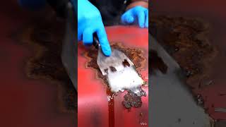 Magic Rust Dissolver 🧪 Satisfying Chemical Removal Test