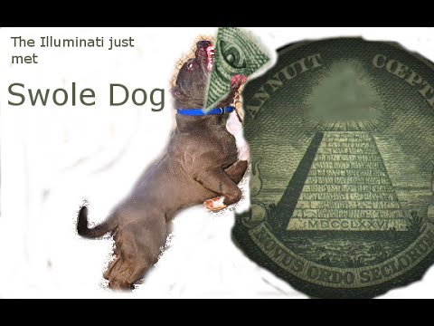 swole dog live at ringold youtube