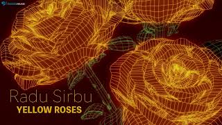 Radu Sirbu - Yellow Roses