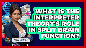 What Is The Interpreter Theory