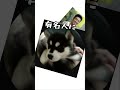 #short#バズれ
