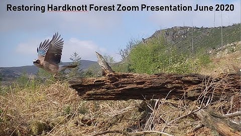 Restoring Hardknott Forest: Zoom Presentation June 2020