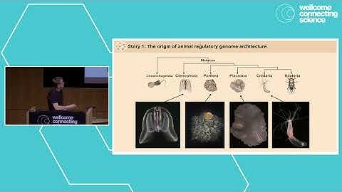 Understanding Life: Using Largescale Biodiversity Reference Genomes | Keynote by Arnau Sebe Pedros