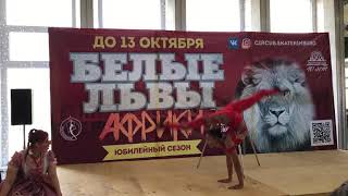 Цирк 🎪 Екатеринбург