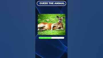 Guess The Animal Quiz Part 13 🦁 1 Questions #dailyquiz #AnimalQuiz #GuessTheAnimal #shortsvideo