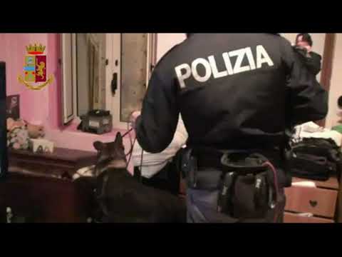 Cosenza: operazione antidroga, 13 arresti
