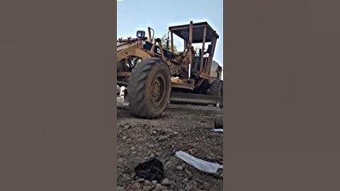 #cat #gredar #status #120k #viral #video #shorts #video #shortvideo #🥰🥰😍#