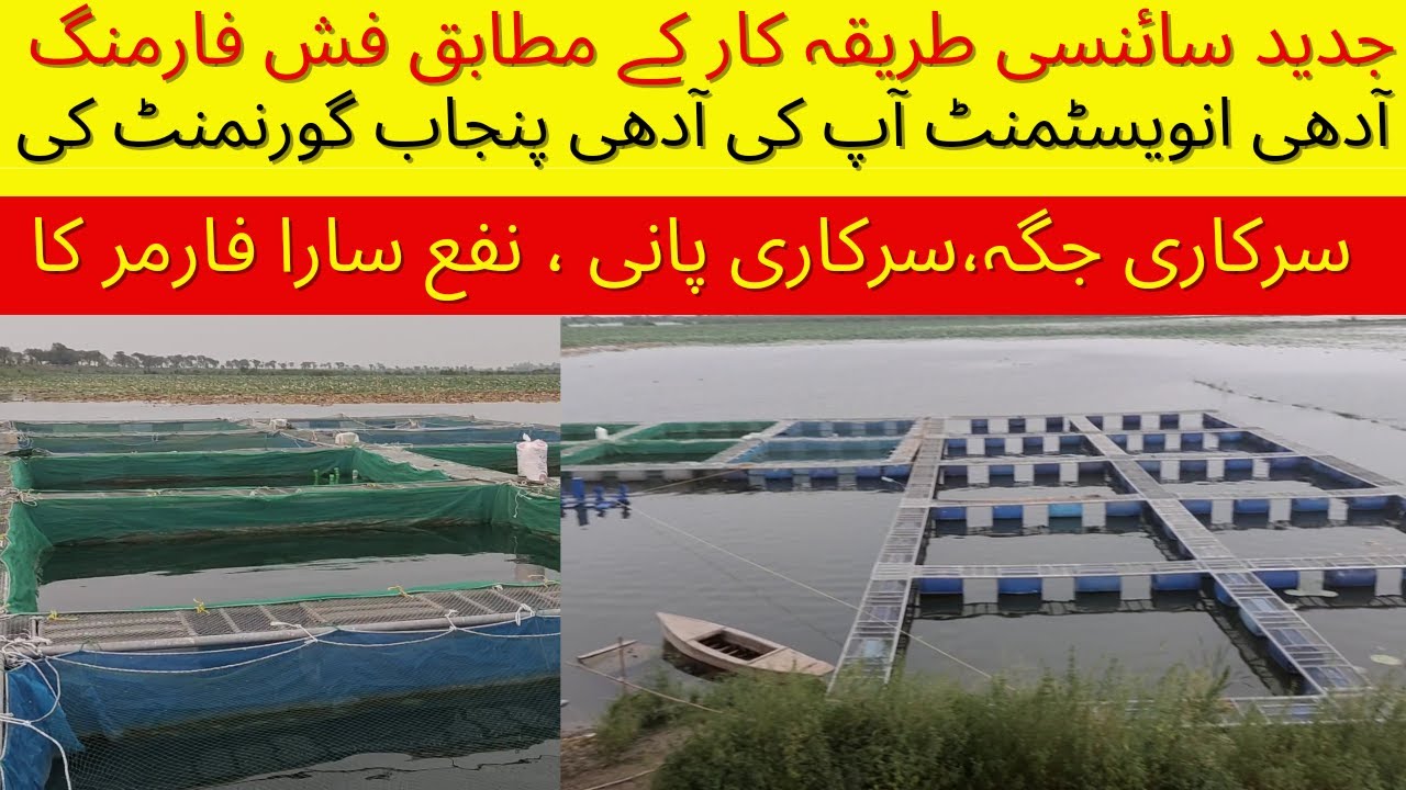 Biofloc Fish Farming Technology in Pakistan | Latest Fish Farming in ...