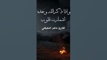تلاوة بصوت رائع وجميل❤️﴿واذا ذكر الله وحده اشمازت قلوب الذين لايؤمنون بالاخرة﴾ القارئ ماهر المعيقلي👍