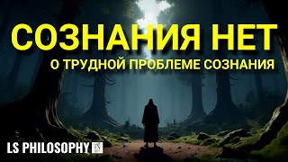 ТРУДНАЯ ПРОБЛЕМА СОЗНАНИЯ