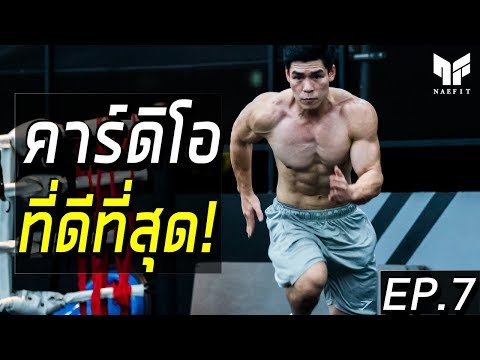 คาร์ดิโอที่ดีที่สุด ( ลดไขมัน, กล้ามไม่หาย, และความเชื่อผิดๆ ) EP.7