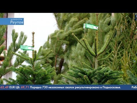 Новости Реутова 17.12.2019