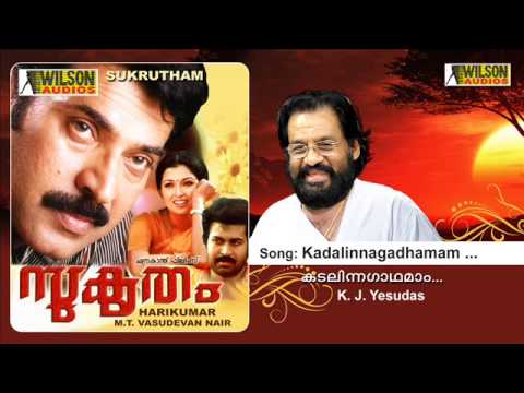 Kadalinnagadhamaam Neelimayil  Sukrutham Malayalam Audio Song  K J Yesudas  KS Chithra