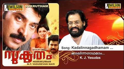 Kadalinnagadhamaam Neelimayil | Sukrutham Malayalam Audio Song | K. J. Yesudas , KS Chithra