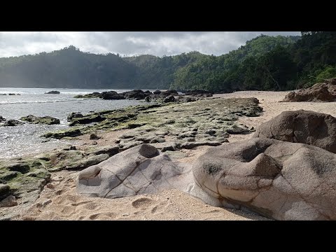 Video: Bagaimanakah seorang ahli geologi boleh mengetahui sama ada lipatan ialah sinklin dan antiklin?