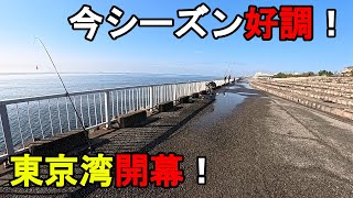 【千葉県某所】2025年春の東京湾で特大高級魚連発!海釣りシーズン序盤の時期に、関東地方の東京湾北部辺りの釣り場で、とある魚を狙ったローカル釣法で数日間釣りしてみたら…!【2025年4月上旬】