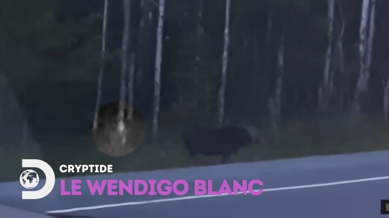 Wendigo : la créature cannibale qui hante l’Amérique du Nord _ Mythes & Légendes