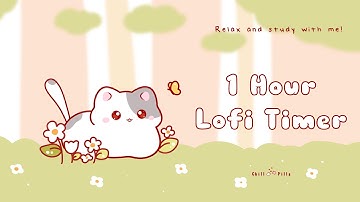 1 Hour - Relax & study with me Lofi | Cat in a field #timer #1hour #1hourloop #lofi #relaxing #calm